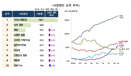 2024년 한국인 주요 사망 원인 과 통계 분석