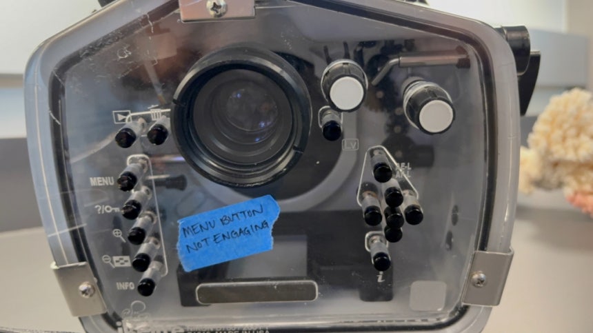 Previously, using a DSLR required mastering complex operation methods. /Photo by Bae Hannim