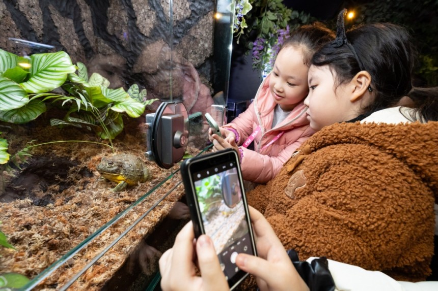 參觀Lotte世界水族館的孩子們正在觀看“Gyeongchip”之前新介紹的青蛙。/ photo =樂天世界水族館提供