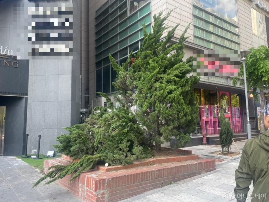 서울 강남구 강남역 인근 빌딩에서 극단적 시도를 하려던 여성 A씨가 구조됐다.경찰과 소방당국은 A씨를 구조하기 위해 에어매트를 까는 과정에서 빌딩 인근 나무를 잘랐다./사진=이현수 기자.