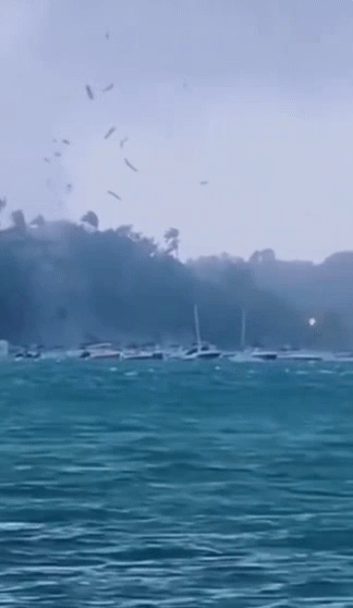 카리브해(Caribbean Sea)의 한 섬에서 물고기 떼가 하늘로 솟구치는 기현상이 발생했다.목격자들은 기현상을 영상으로 촬영해 SNS(소셜미디어) 등에 공유했다./사진=인스타그램 갈무리