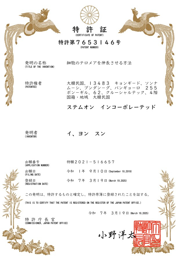 사진제공=스템온