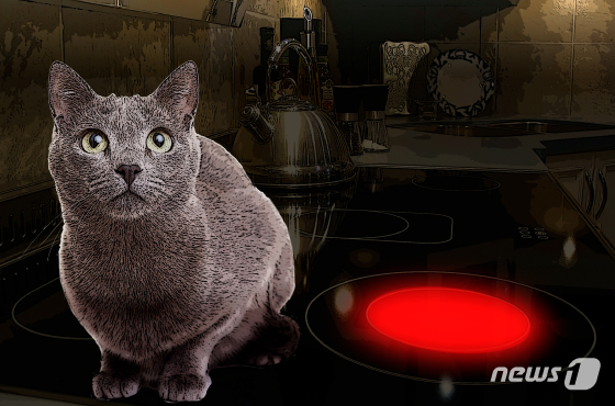 자료사진./사진=뉴스1