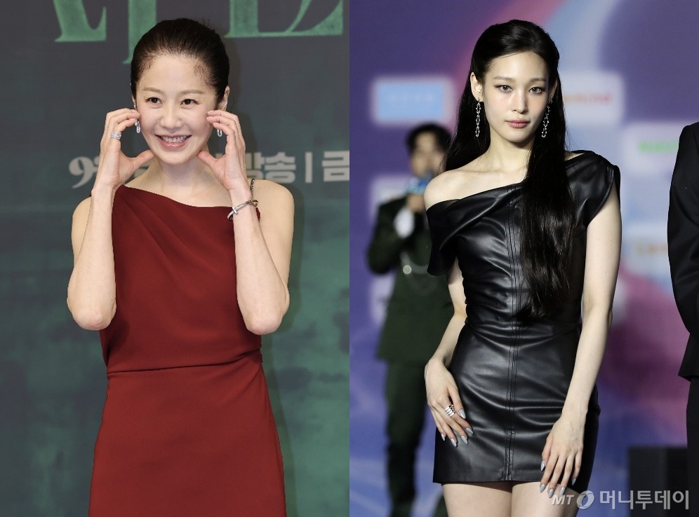 <b>고현정</b>, '정용진 조카' 애니 응원…화보에 '<b>좋아요</b>'