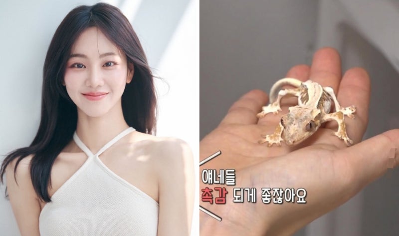 "머리뼈 다 보여…폐사 직전" <b>한지은</b>, 반려 <b>도마뱀 학대 논란</b>