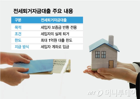 전세퇴거자금대출 주요 내용/그래픽=김현정