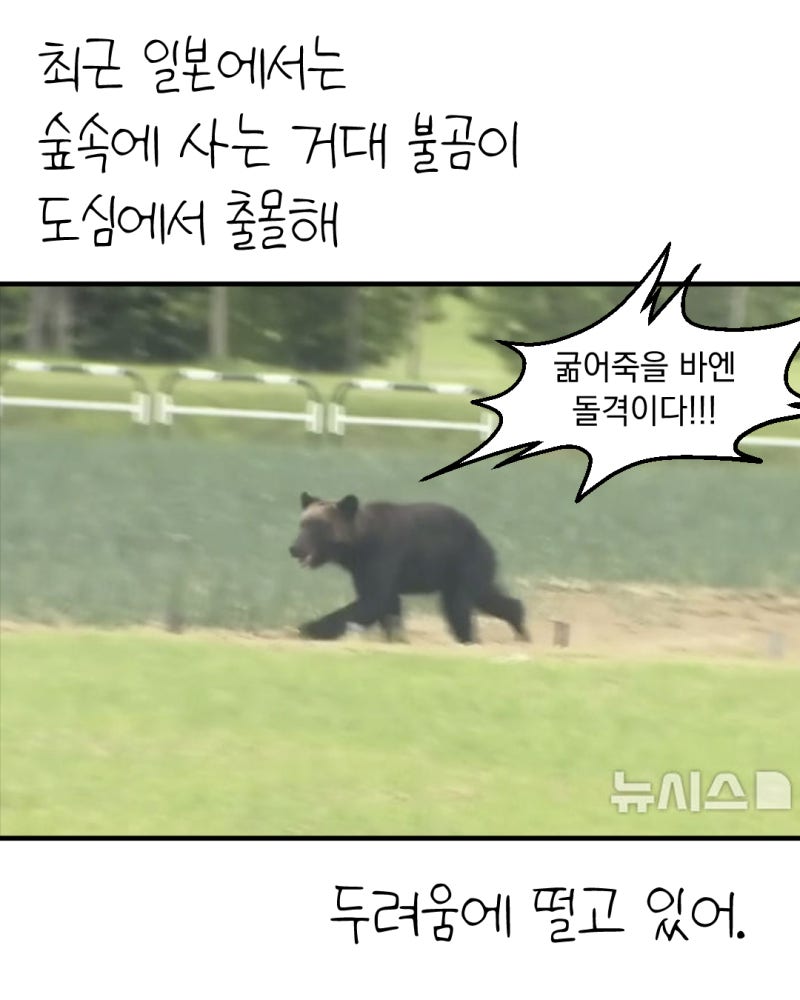 0005279678_001_20251118121408288.jpg?type=w800