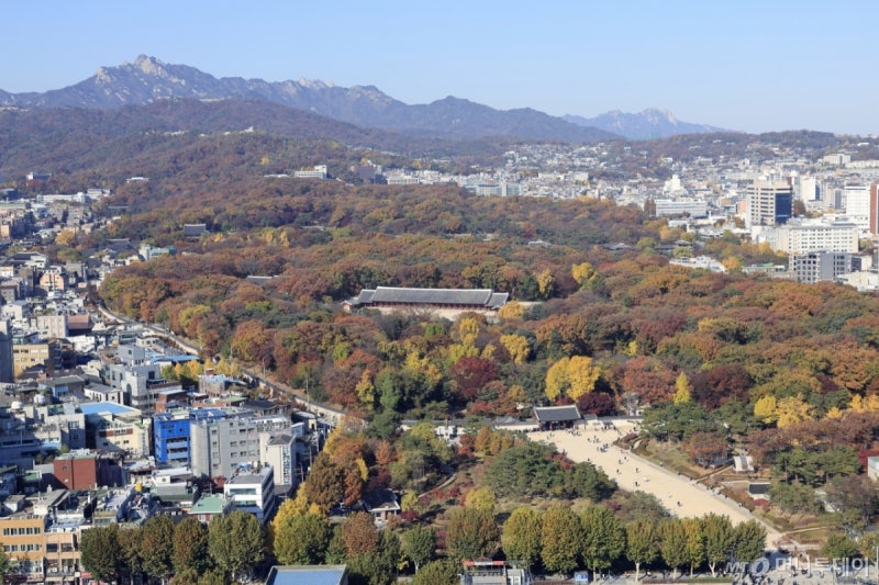 낙후된 <b>세운지구</b>, 고층 빌딩·나무숲 공존 '<b>녹지생태도심</b>' 만든다