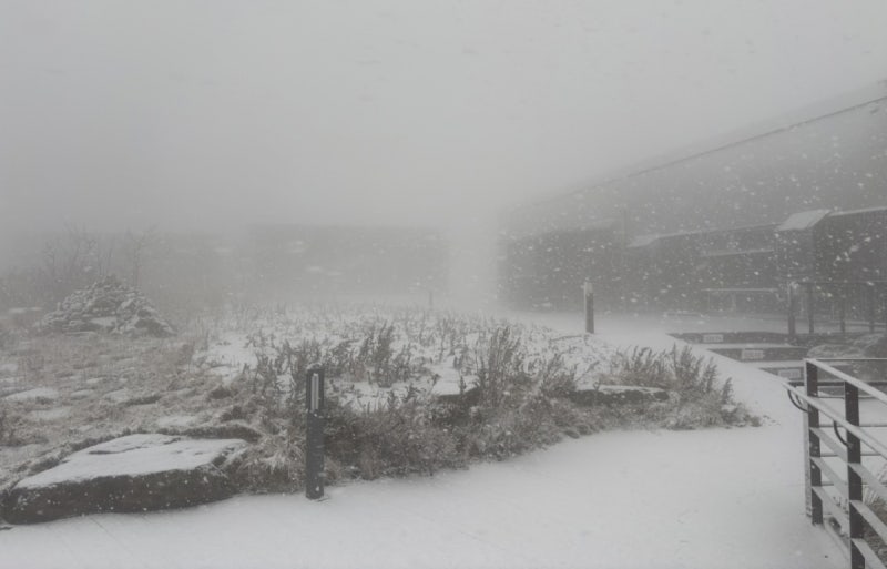 "벌써 퇴근길 걱정" 첫눈인데 5cm '펑펑'...내일도 영하 강추위