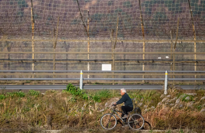 2024년 한 남성이 남북 국경에 설치된 철조망 근처에서 자건거를 타고 있다./AFPBBNews=뉴스1