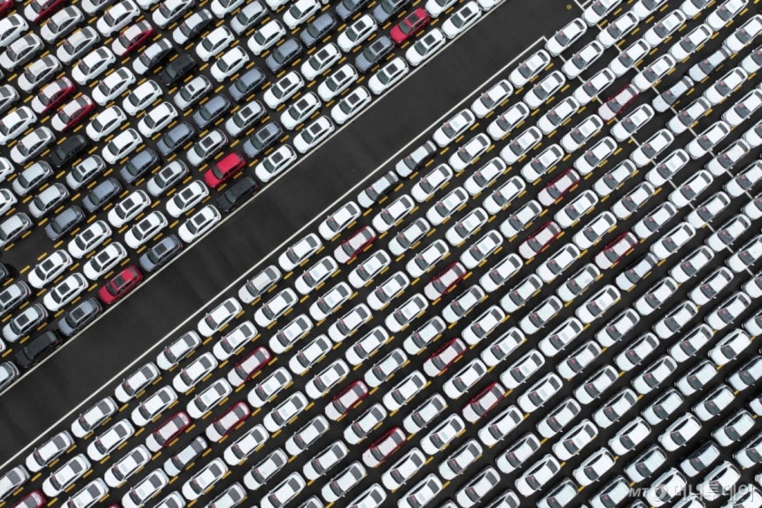 (롄윈강 AFP=뉴스1) 강민경 기자 = 2025년 9월 17일 중국 동부 장쑤성 롄윈강의 항구에 주차된 중국산 자동차들.2025.9.17 ⓒ AFP=뉴스1 Copyright (C) 뉴스1.All rights