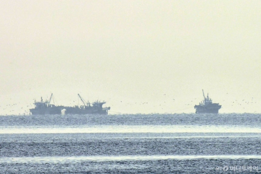 지난달 경북 포항시 송도해수욕장 앞 바다에서 멸치잡이 어선들이 작업에 한창이다./사진=뉴스1