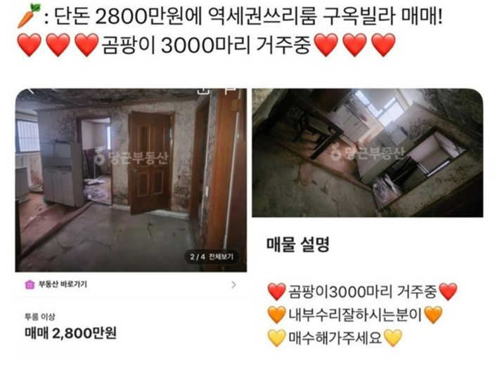 중고거래 플랫폼 당근마켓에 '역세권 쓰리룸 빌라'를 2800만원에 매매하겠다는 글이 올라와 온라인에서 화제다./사진=SNS 캡처 