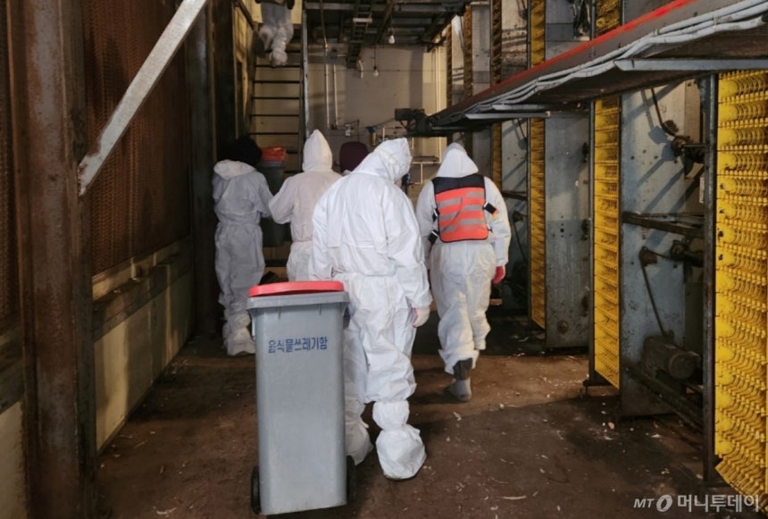 (괴산=뉴스1) 이성기 기자 = 17일 충북 괴산 산란계 농장에서 고병원성 조류인플루엔자(AI)가 발생해 방역당국이 매몰처분 작업을 벌이고 있다.(괴산군 제공).2025.12.17/뉴스1 Copyright (C) 