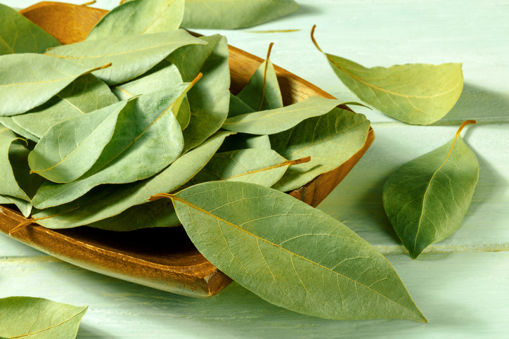 풍미를 살리는 향신료 '월계수 잎'이 숙면을 돕는 '마법의 잎사귀'로 주목받고 있다.사진은 기사 이해를 돕기 위한 자료 사진./사진=게티이미지뱅크