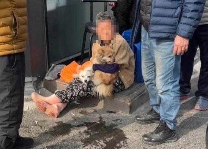 불난 집서 심정지 상태로 숨어있던 강아지들…소방대원이 살렸다