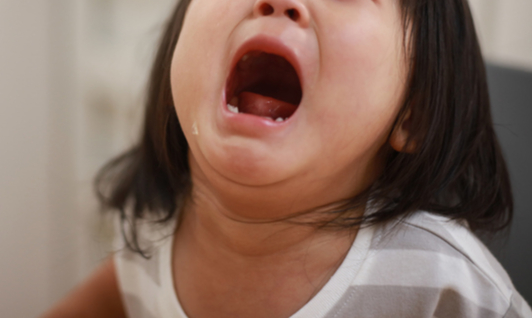 식당 아이 동반 민폐 논란