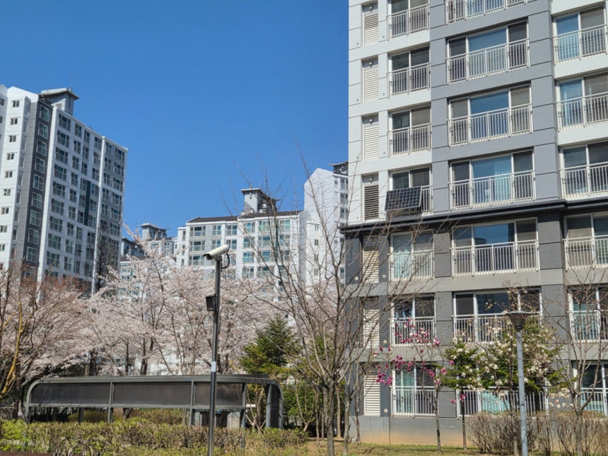 지난 8일 와이시티 아파트 전경. 일부 가구는 베란다에 미니 태양광도 설치했다/사진=권다희 기자