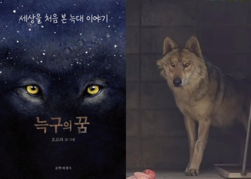 사진=문학세계사,오월드 제공