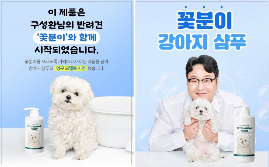 "끝까지 좋은 일 하다 간 <b>꽃분이</b>" <b>구성환</b>, 유기견 보호소 전액 기부