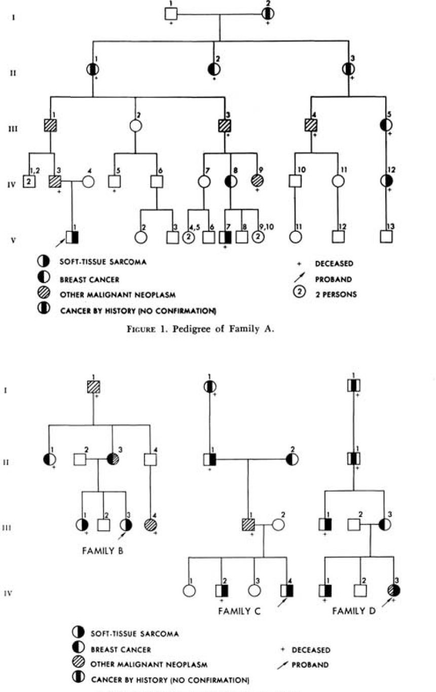  Li와 Fraumeni가 1969년 보고한 familial cancer syndrome 가계도.이 관찰은 훗날 리-프라우메니 증후군 연구의 출발점이 됐다./자료=Li FP,Fraumeni JF Jr.Ann 