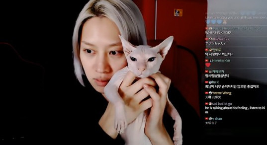 원본 이미지