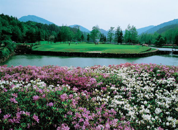 주)여수비치리조트 이미지
