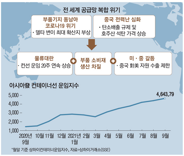 원본 이미지