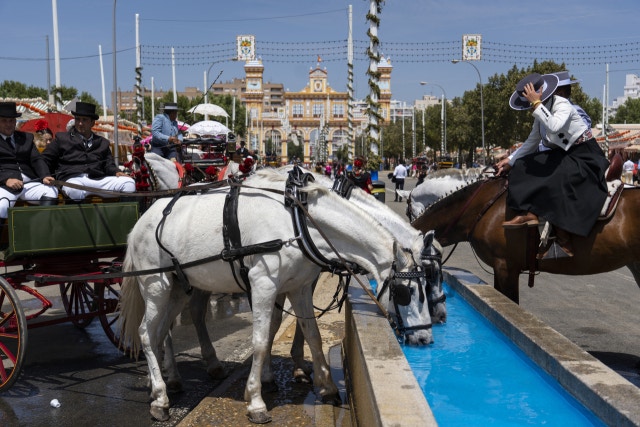 0005124004_001_20230430214801037.jpg?type=w647