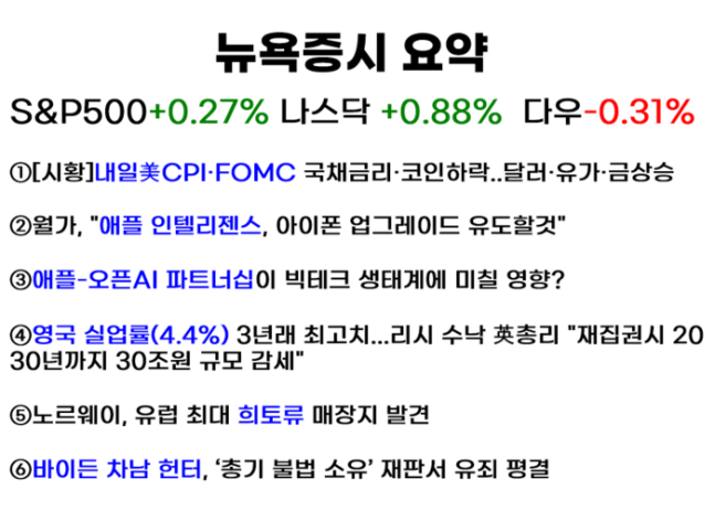  유튜브 ‘월가월부’ 채널의 ‘세계속뉴욕’ 화면