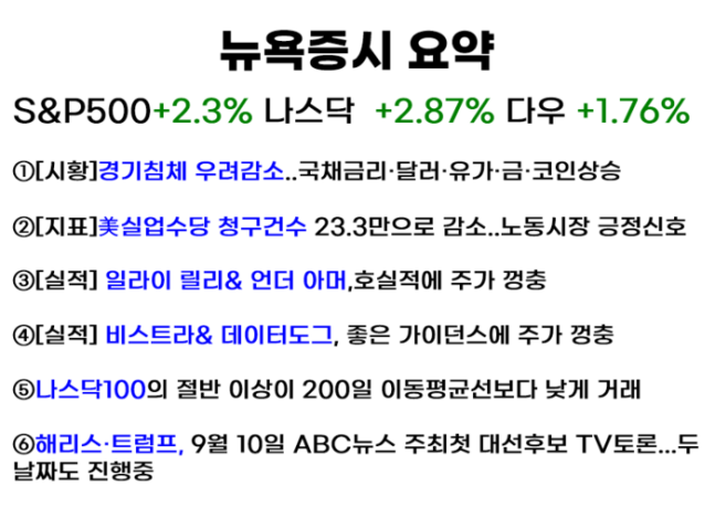 유튜브 ‘월가월부’ 채널의 ‘세계속뉴욕’ 화면