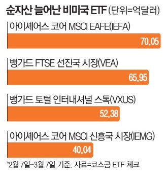 미국 아닌 국가 추종 ETF 순자산 증가 '톱5' 중 4개