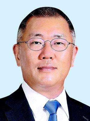 정의선 회장 작년 연봉 115억원