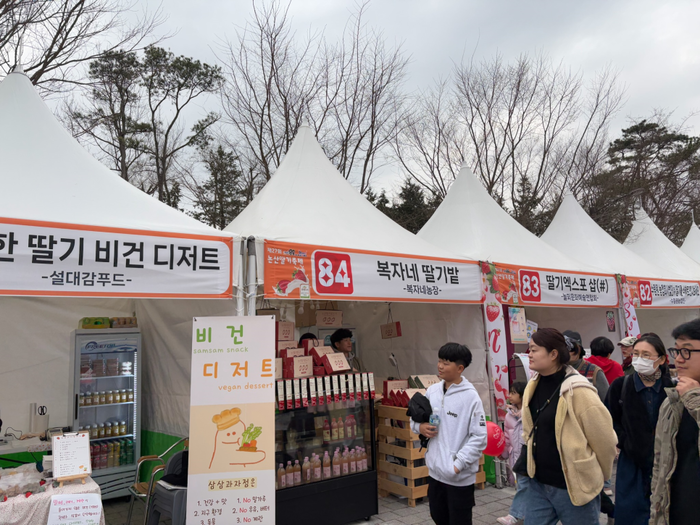‘딸기 족욕’ ‘딸기 비빔밥’에 화들짝...나흘간 53만 명 방문한 ‘논산 딸기 축제’