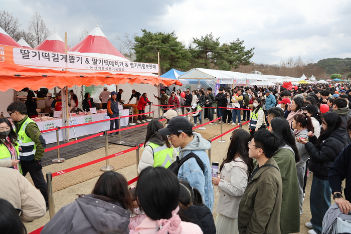 ‘딸기 족욕’ ‘딸기 비빔밥’에 화들짝...나흘간 53만 명 방문한 ‘논산 딸기 축제’