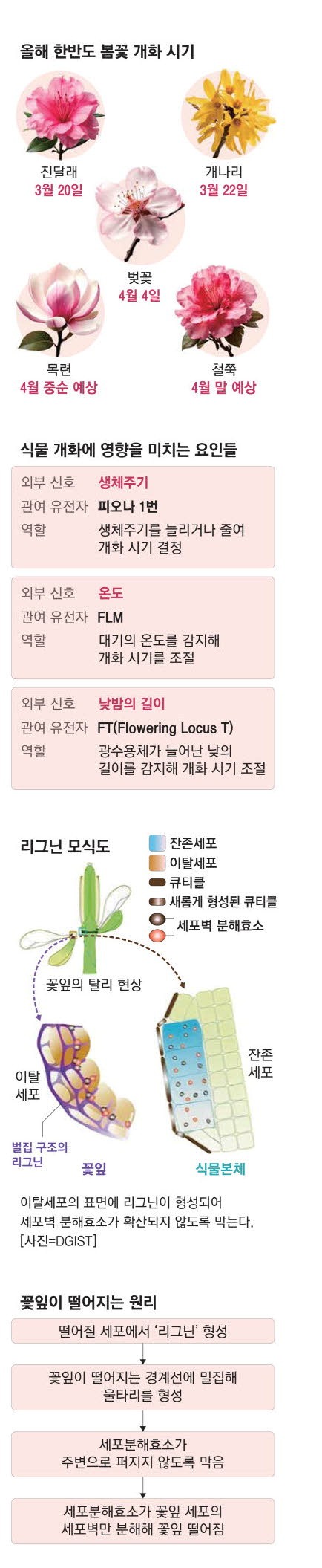 "번식하려면 지금 피워야 해" 꽃들은 다 계획이 있었구나