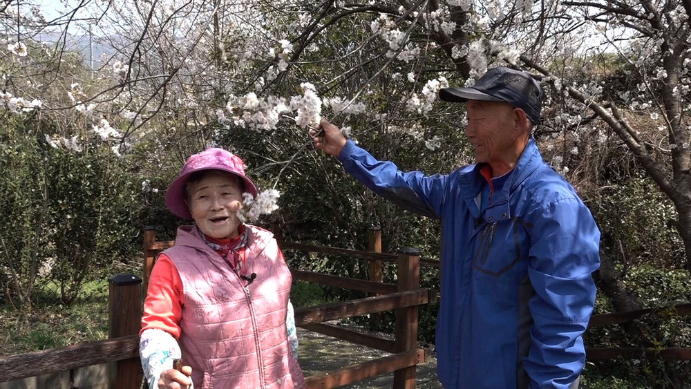 [MBN] 조건 없이 받아준 황혼의 사랑
