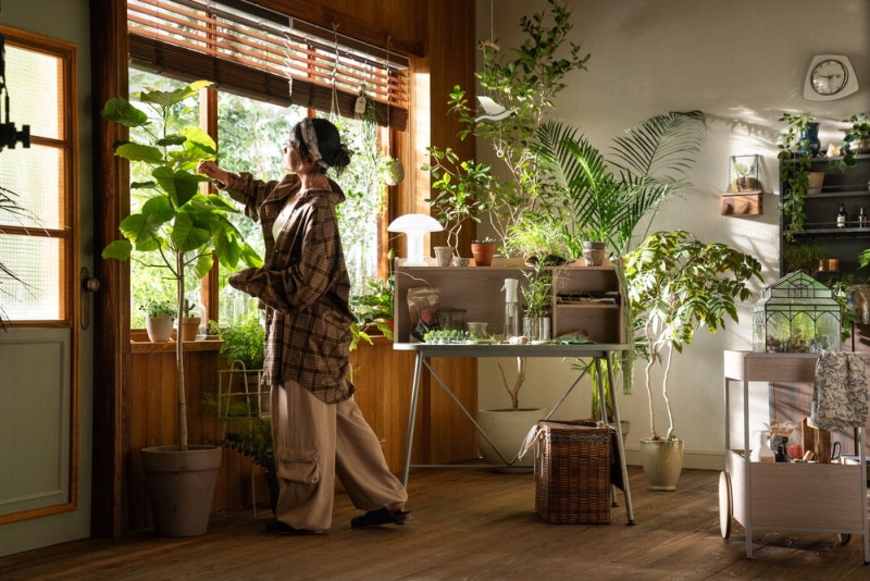 집안으로 자연이 들어왔다…휴식 품은 내 집