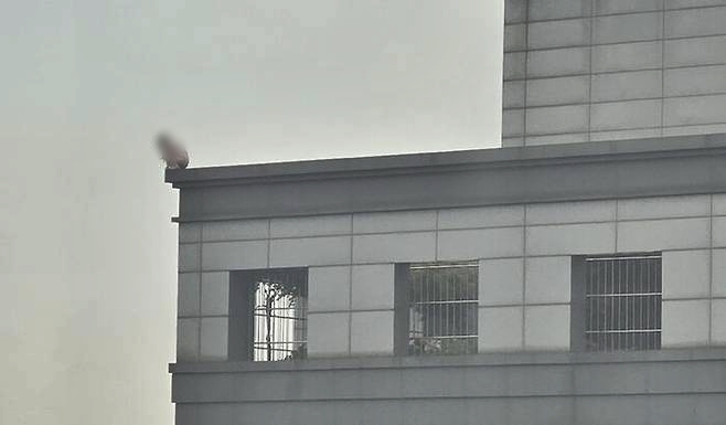  [사진=독자제공 연합뉴스]
