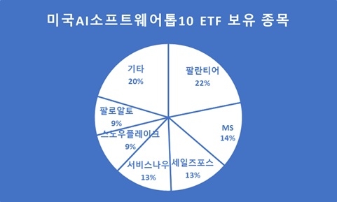 미국AI소프트웨어TOP10 주요 보유 종목.<자료=삼성증권>