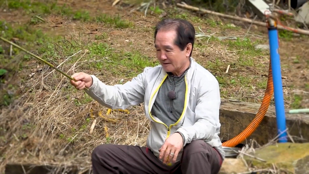 [MBN] 산속에서의 여유로운 일상