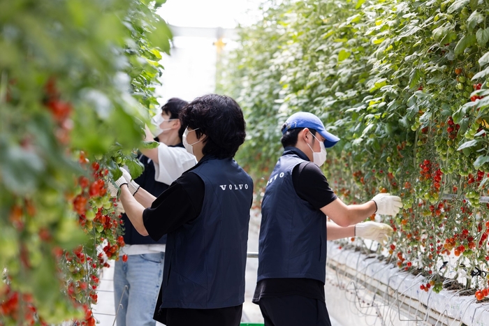  볼보자동차코리아는 지난달 발달장애 청년 일터‘푸르메소셜팜’에서 전 임직원이 참석하는 봉사활동을 진행했다고 7일 밝혔다 [자료출처=볼보자동차코리아]
