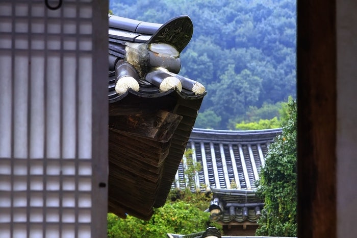 Картинка корейской новостной статьи