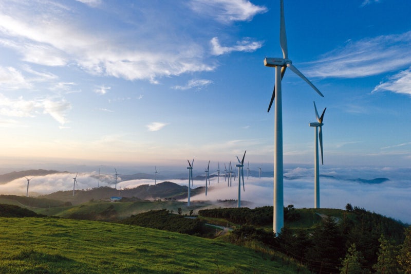 풍력발전기, 반딧불이, 천문대 … 여름 그리고 아름다운 공간