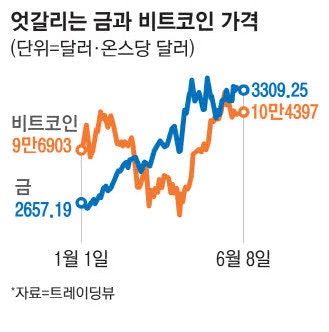 금 뛰자 비트코인 주춤 … 지속되는 시소게임