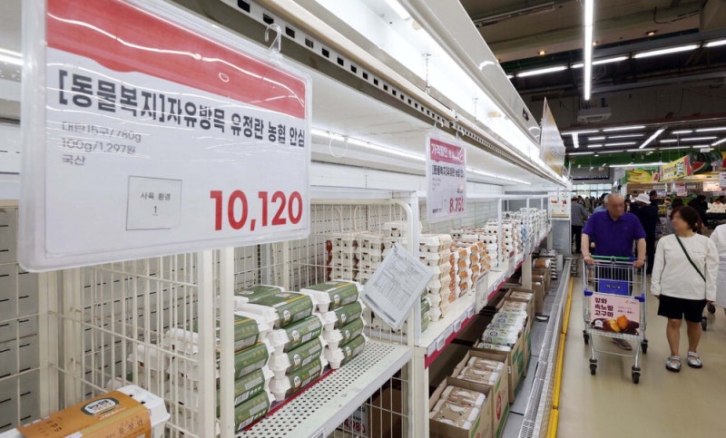 천정부지 계란·삼겹살값 이번달에도 계속 오를듯