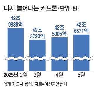 규제 앞두고 카드론 꿈틀 제2금융권 틈새영업까지