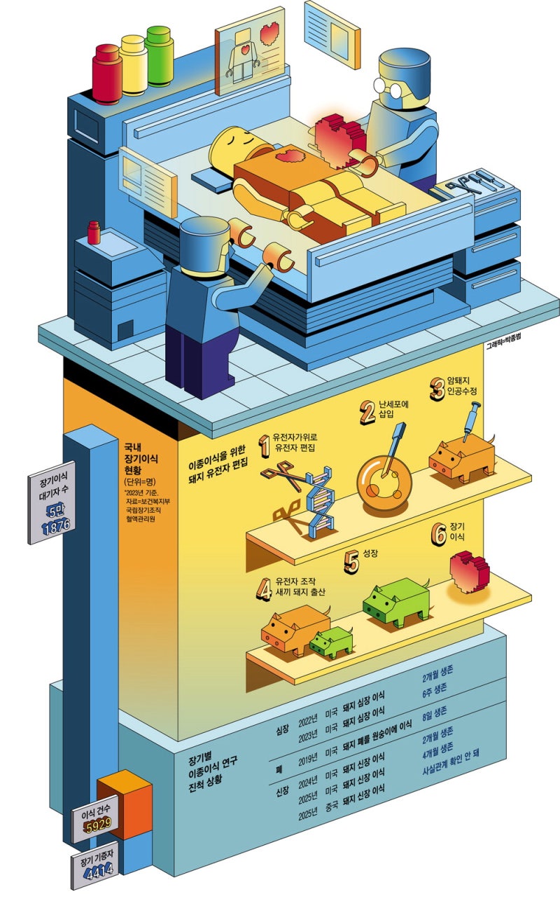 돼지 심장 이식하고 3D프린터로 만들고 인공장기, 인류의 희망이 되다