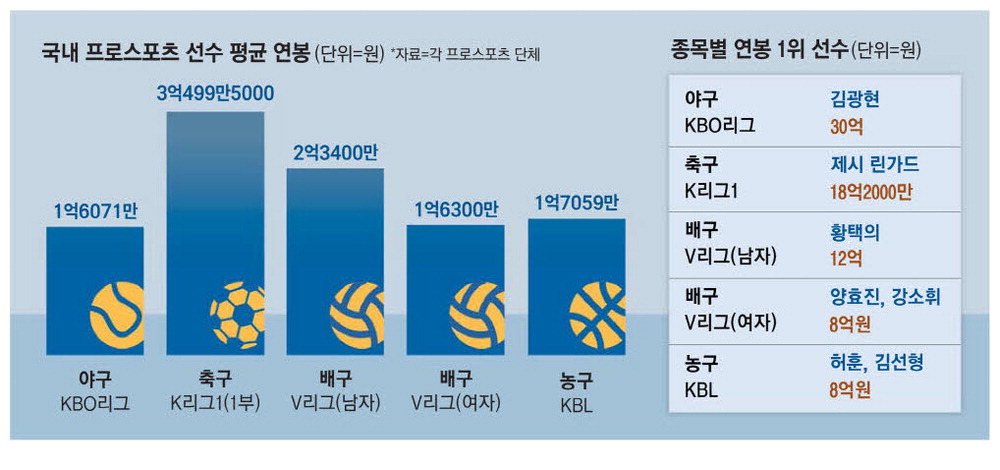 인기는 치솟는데 … 배구보다 연봉 적은 야구