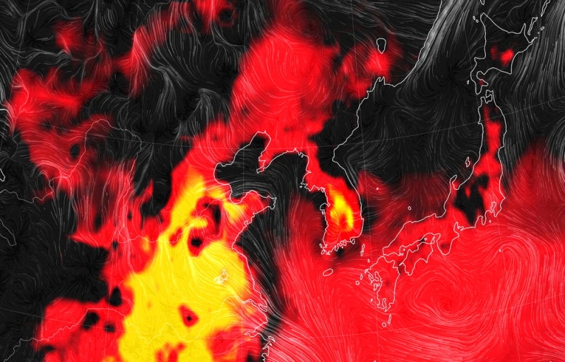 [포토] 한반도 전역 '타는 듯한 더위'